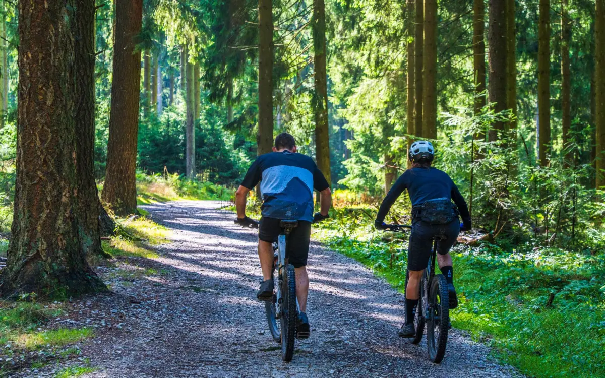 Doi bicicliști, un bărbat și o femeie, mergând pe biciclete pe o potecă lată de pietriș printr-o pădure de conifere luminată de soare